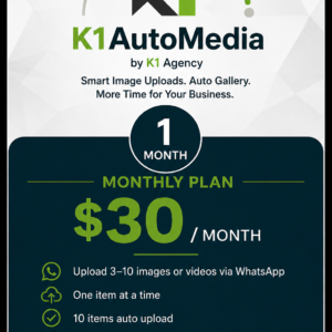 K1 AutoMedia — Monthly Plan